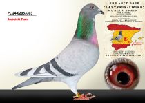 PL 24-02053303